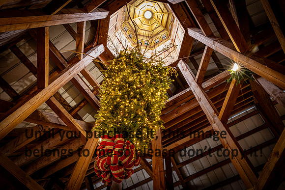 harley-melancon_robert-gardes_12-16-23_kellysheadshots.com-16372