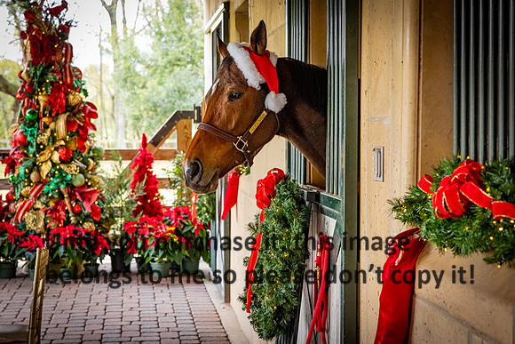 harley-melancon_robert-gardes_12-16-23_kellysheadshots.com-16389