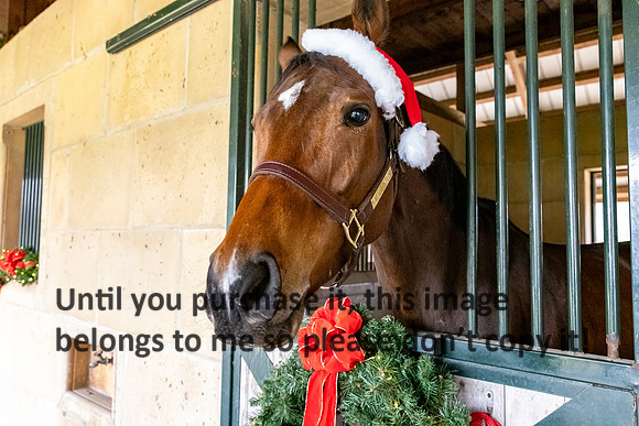 harley-melancon_robert-gardes_12-16-23_kellysheadshots.com-16394