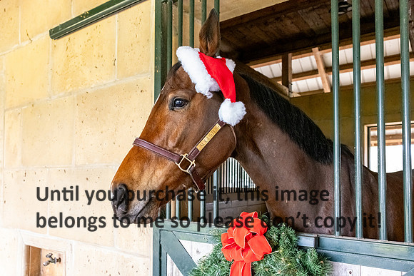 harley-melancon_robert-gardes_12-16-23_kellysheadshots.com-16397