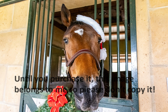 harley-melancon_robert-gardes_12-16-23_kellysheadshots.com-16400