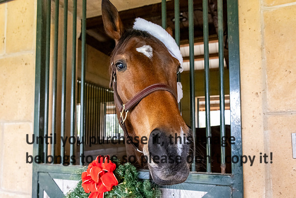 harley-melancon_robert-gardes_12-16-23_kellysheadshots.com-16402