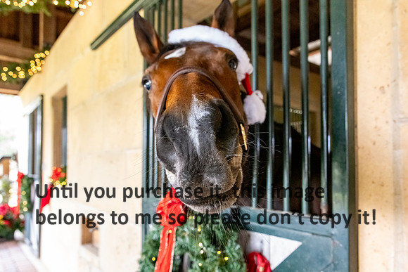 harley-melancon_robert-gardes_12-16-23_kellysheadshots.com-16409