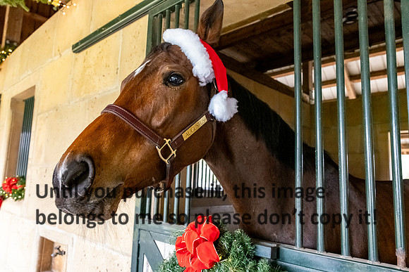 harley-melancon_robert-gardes_12-16-23_kellysheadshots.com-16416