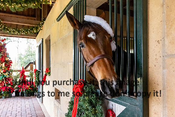 harley-melancon_robert-gardes_12-16-23_kellysheadshots.com-16434