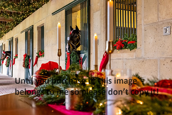 harley-melancon_robert-gardes_12-16-23_kellysheadshots.com-16450