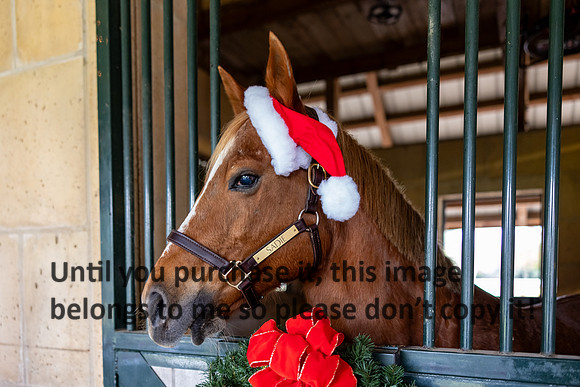 harley-melancon_robert-gardes_12-16-23_kellysheadshots.com-16481