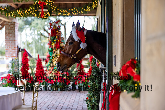 harley-melancon_robert-gardes_12-16-23_kellysheadshots.com-16490