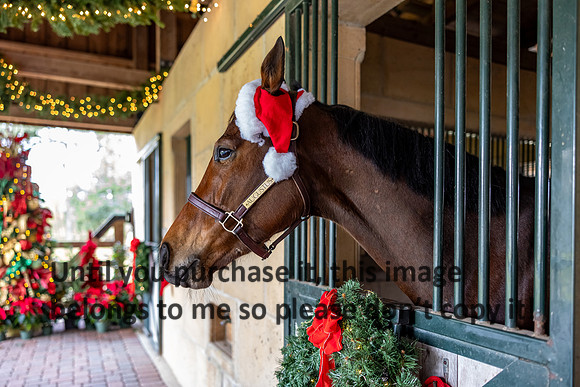 harley-melancon_robert-gardes_12-16-23_kellysheadshots.com-16501