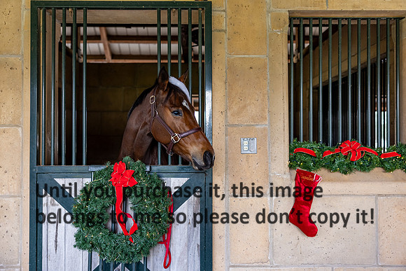 harley-melancon_robert-gardes_12-16-23_kellysheadshots.com-16514