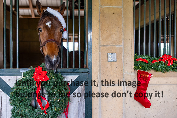 harley-melancon_robert-gardes_12-16-23_kellysheadshots.com-16518