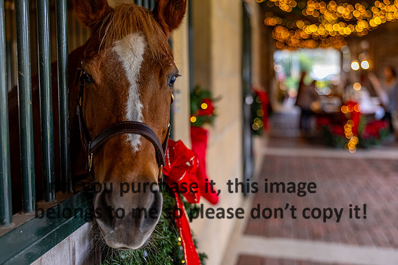 harley-melancon_robert-gardes_12-16-23_kellysheadshots.com-16575
