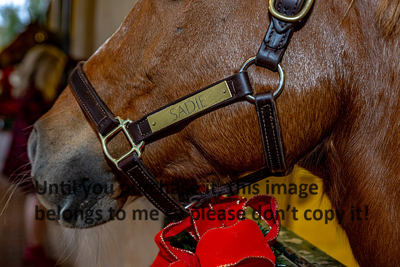 harley-melancon_robert-gardes_12-16-23_kellysheadshots.com-16626