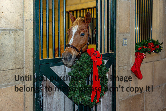 harley-melancon_robert-gardes_12-16-23_kellysheadshots.com-16627