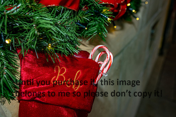 harley-melancon_robert-gardes_12-16-23_kellysheadshots.com-16629