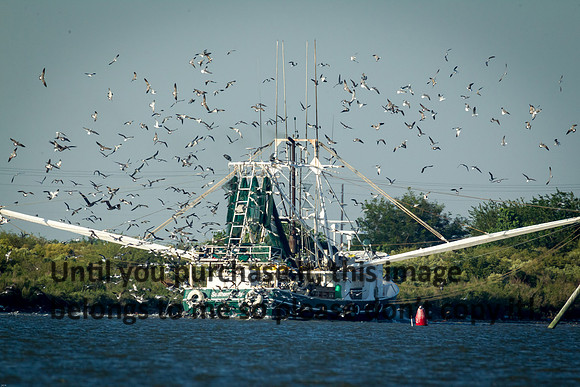 southern-lady_shrimp-boat_cameron_louisiana_kelly-morvant-photography_10-23-14-6630