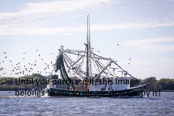 southern-lady_shrimp-boat_cameron_louisiana_kelly-morvant-photography_10-23-14-8401