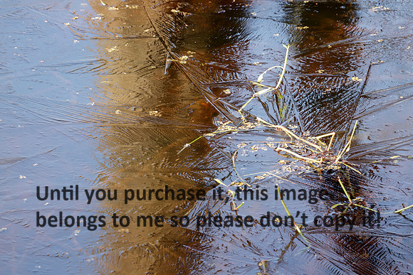 Ice on Lake Martin_8352