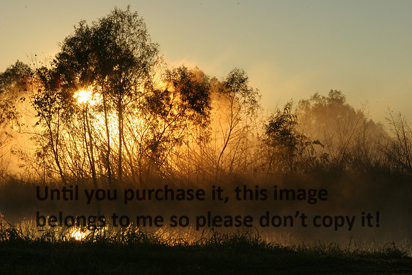 Sunrise in Mist Image_0997