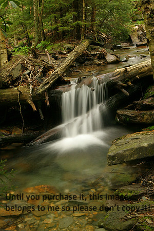 Water Fall Small Nature Image_9939