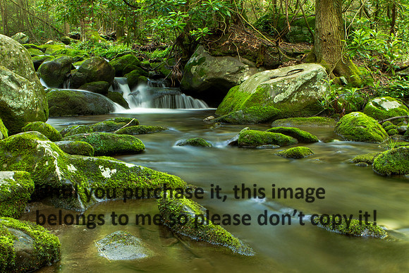 StreamMossRocks-SmokyMountains-0440