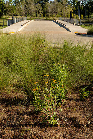 moncus-park_06-11-20_kellysheadshots.com-6510