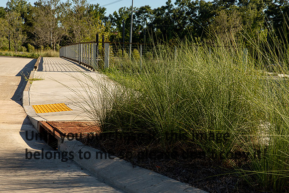 moncus-park_06-11-20_kellysheadshots.com-6512