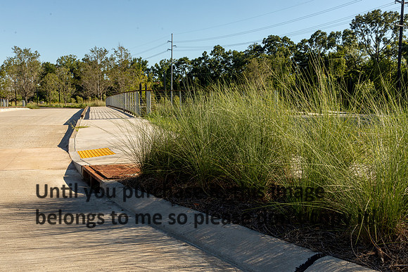 moncus-park_06-11-20_kellysheadshots.com-6513