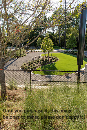 moncus-park_06-11-20_kellysheadshots.com-6520