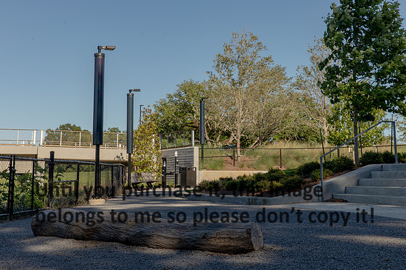 moncus-park_06-11-20_kellysheadshots.com-6532