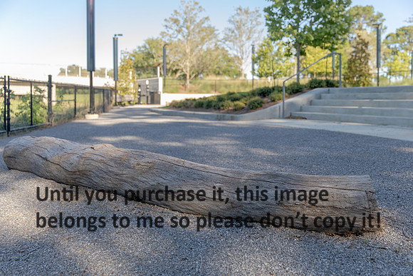 moncus-park_06-11-20_kellysheadshots.com-6533