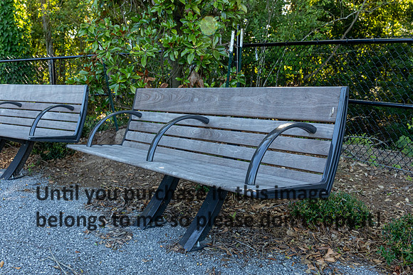 moncus-park_06-11-20_kellysheadshots.com-6539