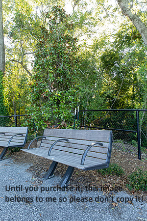 moncus-park_06-11-20_kellysheadshots.com-6540
