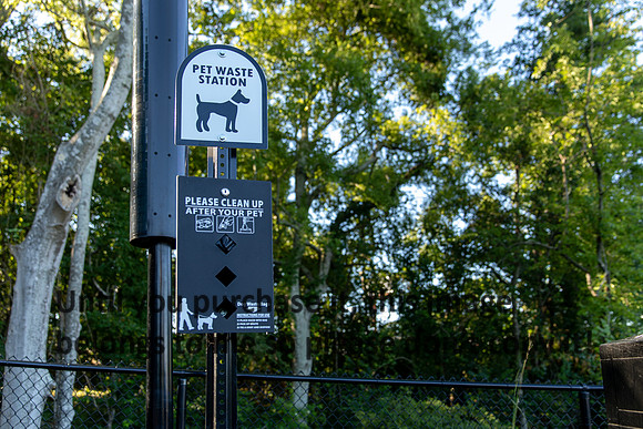 moncus-park_06-11-20_kellysheadshots.com-6541