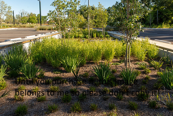 moncus-park_06-11-20_kellysheadshots.com-6569