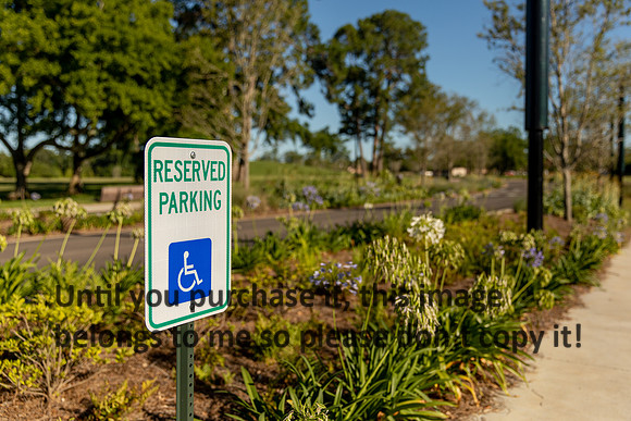 moncus-park_06-11-20_kellysheadshots.com-6575