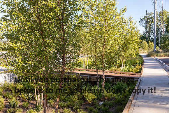 moncus-park_06-11-20_kellysheadshots.com-6582