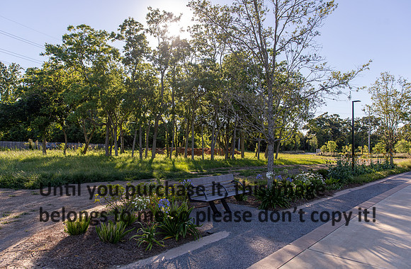 moncus-park_06-11-20_kellysheadshots.com-6603