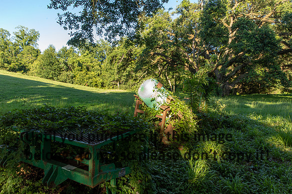 moncus-park_06-11-20_kellysheadshots.com-6638