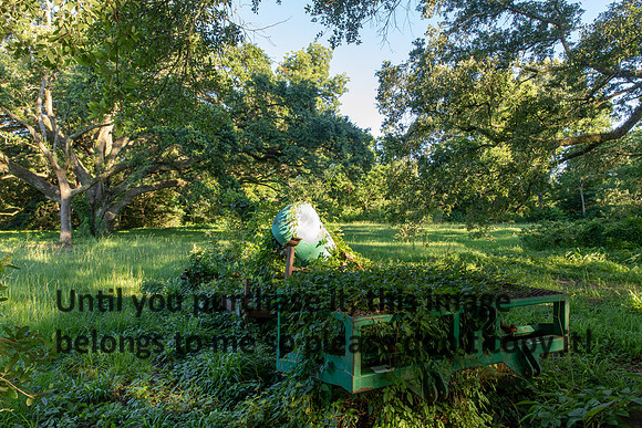 moncus-park_06-11-20_kellysheadshots.com-6640