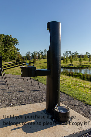moncus-park_06-11-20_kellysheadshots.com-6665