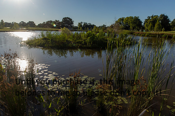moncus-park_06-11-20_kellysheadshots.com-6671