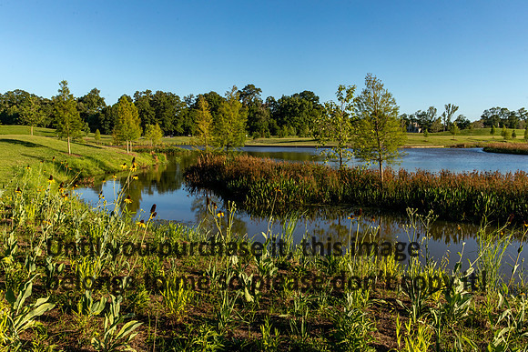 moncus-park_06-11-20_kellysheadshots.com-6682
