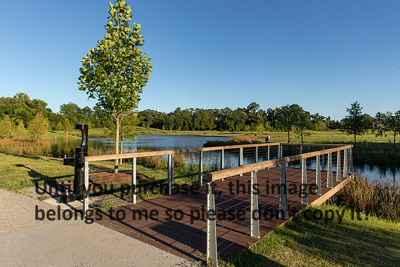 moncus-park_06-11-20_kellysheadshots.com-6689