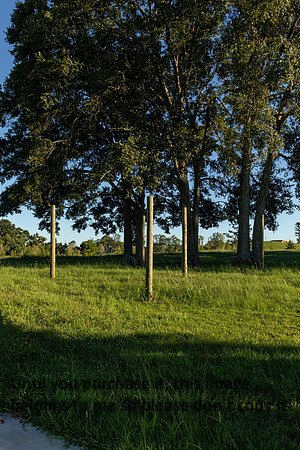 moncus-park_06-11-20_kellysheadshots.com-6698