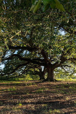 moncus-park_06-11-20_kellysheadshots.com-6700