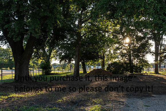 moncus-park_06-11-20_kellysheadshots.com-6727
