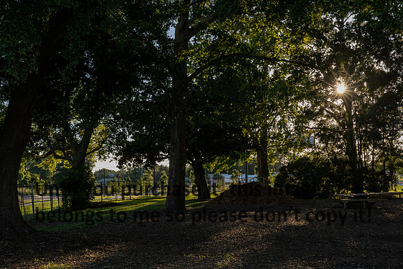 moncus-park_06-11-20_kellysheadshots.com-6730