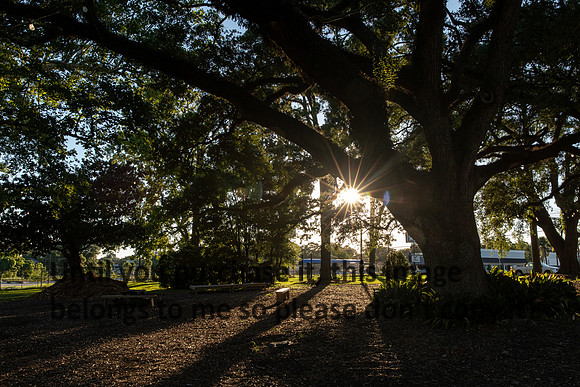 moncus-park_06-11-20_kellysheadshots.com-6741