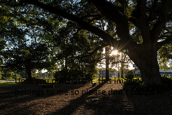 moncus-park_06-11-20_kellysheadshots.com-6742